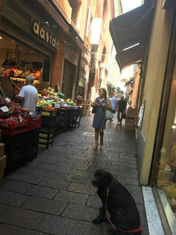 Casa Salbego R&B Bed & Breakfast Bologna Exterior photo